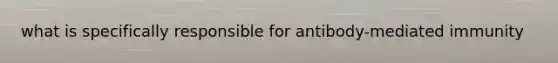 what is specifically responsible for antibody-mediated immunity