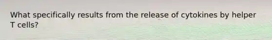 What specifically results from the release of cytokines by helper T cells?