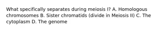 What specifically separates during meiosis I? A. Homologous chromosomes B. Sister chromatids (divide in Meiosis II) C. The cytoplasm D. The genome