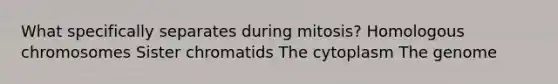 What specifically separates during mitosis? Homologous chromosomes Sister chromatids The cytoplasm The genome