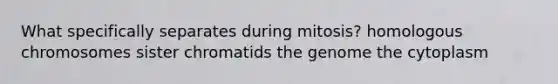 What specifically separates during mitosis? homologous chromosomes sister chromatids the genome the cytoplasm