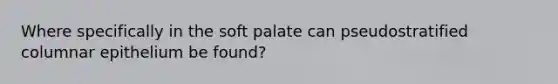 Where specifically in the soft palate can pseudostratified columnar epithelium be found?