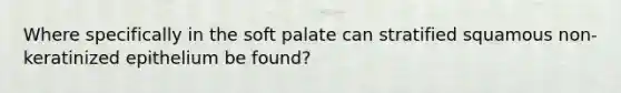 Where specifically in the soft palate can stratified squamous non-keratinized epithelium be found?