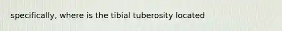 specifically, where is the tibial tuberosity located