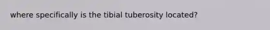 where specifically is the tibial tuberosity located?