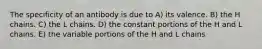 The specificity of an antibody is due to A) its valence. B) the H chains. C) the L chains. D) the constant portions of the H and L chains. E) the variable portions of the H and L chains