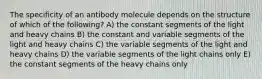 The specificity of an antibody molecule depends on the structure of which of the following? A) the constant segments of the light and heavy chains B) the constant and variable segments of the light and heavy chains C) the variable segments of the light and heavy chains D) the variable segments of the light chains only E) the constant segments of the heavy chains only