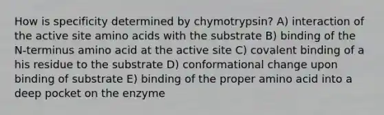 How is specificity determined by chymotrypsin? A) interaction of the active site amino acids with the substrate B) binding of the N-terminus amino acid at the active site C) covalent binding of a his residue to the substrate D) conformational change upon binding of substrate E) binding of the proper amino acid into a deep pocket on the enzyme