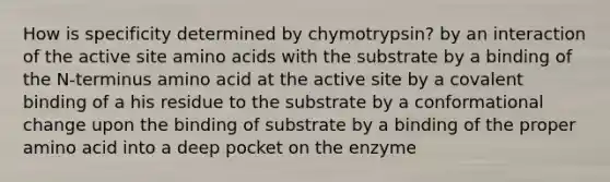 How is specificity determined by chymotrypsin? by an interaction of the active site amino acids with the substrate by a binding of the N-terminus amino acid at the active site by a covalent binding of a his residue to the substrate by a conformational change upon the binding of substrate by a binding of the proper amino acid into a deep pocket on the enzyme