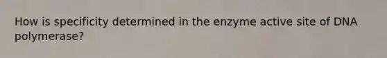 How is specificity determined in the enzyme active site of DNA polymerase?