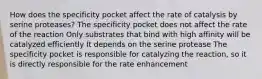 How does the specificity pocket affect the rate of catalysis by serine proteases? The specificity pocket does not affect the rate of the reaction Only substrates that bind with high affinity will be catalyzed efficiently It depends on the serine protease The specificity pocket is responsible for catalyzing the reaction, so it is directly responsible for the rate enhancement