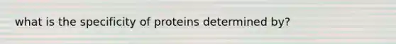 what is the specificity of proteins determined by?