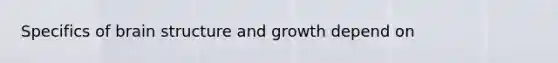 Specifics of brain structure and growth depend on