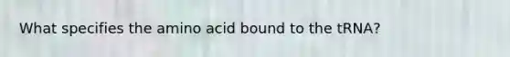 What specifies the amino acid bound to the tRNA?