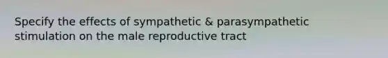 Specify the effects of sympathetic & parasympathetic stimulation on the male reproductive tract