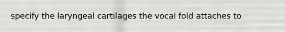 specify the laryngeal cartilages the vocal fold attaches to