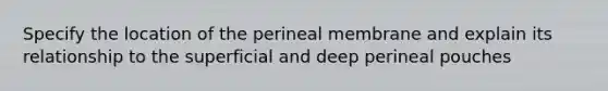 Specify the location of the perineal membrane and explain its relationship to the superficial and deep perineal pouches