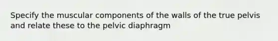 Specify the muscular components of the walls of the true pelvis and relate these to the pelvic diaphragm