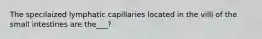 The specilaized lymphatic capillaries located in the villi of the small intestines are the___?