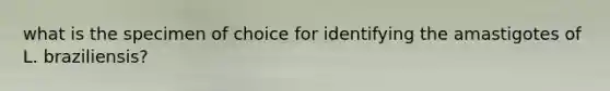 what is the specimen of choice for identifying the amastigotes of L. braziliensis?