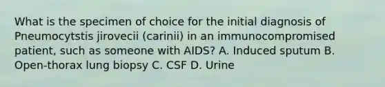 What is the specimen of choice for the initial diagnosis of Pneumocytstis jirovecii (carinii) in an immunocompromised patient, such as someone with AIDS? A. Induced sputum B. Open-thorax lung biopsy C. CSF D. Urine