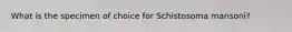 What is the specimen of choice for Schistosoma mansoni?