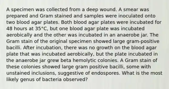 A specimen was collected from a deep wound. A smear was prepared and Gram stained and samples were inoculated onto two blood agar plates. Both blood agar plates were incubated for 48 hours at 35°C, but one blood agar plate was incubated aerobically and the other was incubated in an anaerobe jar. The Gram stain of the original specimen showed large gram-positive bacilli. After incubation, there was no growth on the blood agar plate that was incubated aerobically, but the plate incubated in the anaerobe jar grew beta hemolytic colonies. A Gram stain of these colonies showed large gram positive bacilli, some with unstained inclusions, suggestive of endospores. What is the most likely genus of bacteria observed?