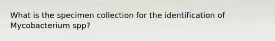 What is the specimen collection for the identification of Mycobacterium spp?