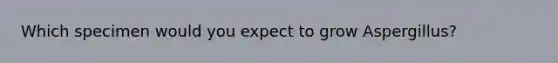 Which specimen would you expect to grow Aspergillus?