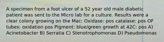 A specimen from a foot ulcer of a 52 year old male diabetic patient was sent to the Micro lab for a culture. Results were a clear colony growing on the Mac: Oxidase: pos catalase: pos OF tubes: oxidation pos Pigment: blue/green growth at 42C: pos A) Acinetobacter B) Serratia C) Stenotrophomonas D) Pseudomonas