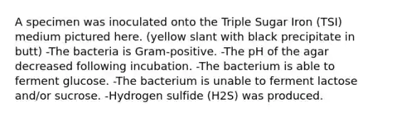 A specimen was inoculated onto the Triple Sugar Iron (TSI) medium pictured here. (yellow slant with black precipitate in butt) -The bacteria is Gram-positive. -The pH of the agar decreased following incubation. -The bacterium is able to ferment glucose. -The bacterium is unable to ferment lactose and/or sucrose. -Hydrogen sulfide (H2S) was produced.