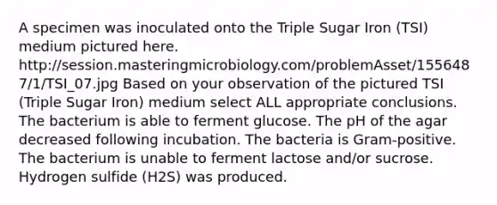 A specimen was inoculated onto the Triple Sugar Iron (TSI) medium pictured here. http://session.masteringmicrobiology.com/problemAsset/1556487/1/TSI_07.jpg Based on your observation of the pictured TSI (Triple Sugar Iron) medium select ALL appropriate conclusions. The bacterium is able to ferment glucose. The pH of the agar decreased following incubation. The bacteria is Gram-positive. The bacterium is unable to ferment lactose and/or sucrose. Hydrogen sulfide (H2S) was produced.