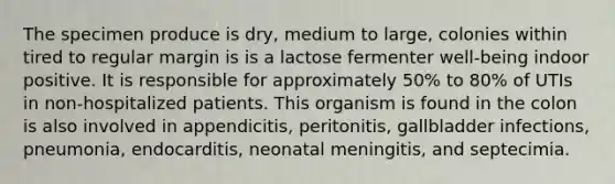 The specimen produce is dry, medium to large, colonies within tired to regular margin is is a lactose fermenter well-being indoor positive. It is responsible for approximately 50% to 80% of UTIs in non-hospitalized patients. This organism is found in the colon is also involved in appendicitis, peritonitis, gallbladder infections, pneumonia, endocarditis, neonatal meningitis, and septecimia.