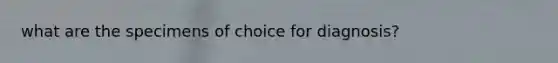 what are the specimens of choice for diagnosis?