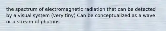 the spectrum of electromagnetic radiation that can be detected by a visual system (very tiny) Can be conceptualized as a wave or a stream of photons