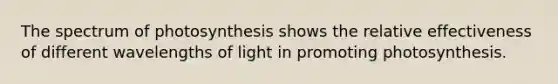 The spectrum of photosynthesis shows the relative effectiveness of different wavelengths of light in promoting photosynthesis.