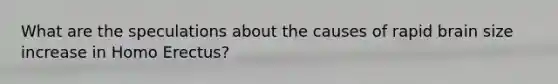 What are the speculations about the causes of rapid brain size increase in Homo Erectus?
