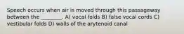 Speech occurs when air is moved through this passageway between the ________. A) vocal folds B) false vocal cords C) vestibular folds D) walls of the arytenoid canal