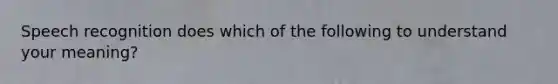 Speech recognition does which of the following to understand your meaning?