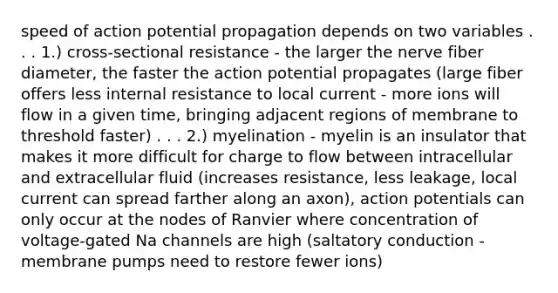 speed of action potential propagation depends on two variables . . . 1.) cross-sectional resistance - the larger the nerve fiber diameter, the faster the action potential propagates (large fiber offers less internal resistance to local current - more ions will flow in a given time, bringing adjacent regions of membrane to threshold faster) . . . 2.) myelination - myelin is an insulator that makes it more difficult for charge to flow between intracellular and extracellular fluid (increases resistance, less leakage, local current can spread farther along an axon), action potentials can only occur at the nodes of Ranvier where concentration of voltage-gated Na channels are high (saltatory conduction - membrane pumps need to restore fewer ions)