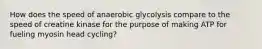 How does the speed of anaerobic glycolysis compare to the speed of creatine kinase for the purpose of making ATP for fueling myosin head cycling?