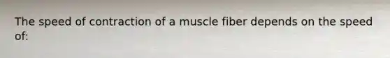 The speed of contraction of a muscle fiber depends on the speed of: