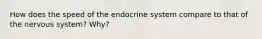 How does the speed of the endocrine system compare to that of the nervous system? Why?