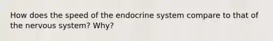 How does the speed of the endocrine system compare to that of the nervous system? Why?