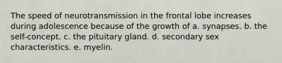 The speed of neurotransmission in the frontal lobe increases during adolescence because of the growth of a. synapses. b. the self-concept. c. the pituitary gland. d. secondary sex characteristics. e. myelin.