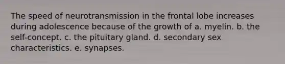The speed of neurotransmission in the frontal lobe increases during adolescence because of the growth of a. myelin. b. the self-concept. c. the pituitary gland. d. secondary sex characteristics. e. synapses.