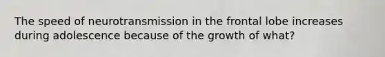 The speed of neurotransmission in the frontal lobe increases during adolescence because of the growth of what?