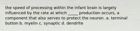 the speed of processing within the infant brain is largely influenced by the rate at which _____ production occurs, a component that also serves to protect the neuron. a. terminal button b. myelin c. synaptic d. dendrite