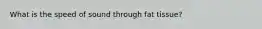 What is the speed of sound through fat tissue?