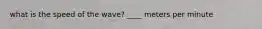 what is the speed of the wave? ____ meters per minute